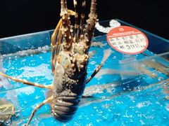 -徐记海鲜(大雁塔|金都店)