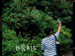 -西湖风景区十里琅珰-五云山