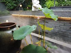-花锦堂·隐庐