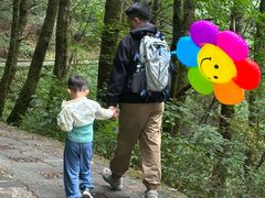 -苍山感通索道