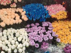 -越秀西湖花市(广州城市广场花卉店)