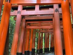 -有栖山 清光院 清水寺