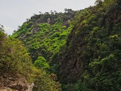 -南海湾森林生态园