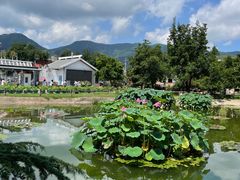 -国家植物园南园