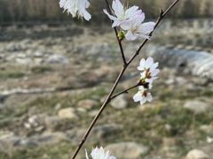 -姚家山旅游风景区