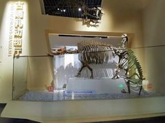 -国家自然博物馆