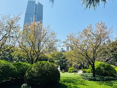 -静安公园(静安寺街道)