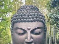 -杭州植物园