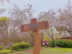 -自然谷恐龙园