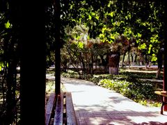 -东北大学(南湖校区)