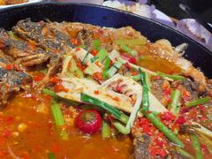 -老板恋上鱼(恒隆广场店)