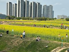 -光明小镇欢乐田园