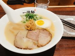 金丸豚骨拉面-一豚轩·烧鸟·豚骨拉面(五四路店)