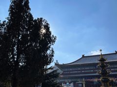 -龙口南山旅游景区