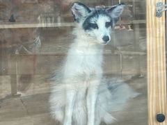 -J Create城市露营咖啡·简餐·宠物(上海动物园店)