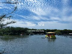 -沙家浜风景区