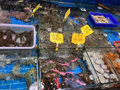 -船奇蒸汽海鲜·闽菜(八市海鲜总店)