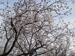 -东升八家郊野公园