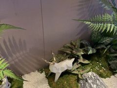 -澜·庭汇SPA会所(涉外店)