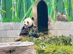 -南昌动物园