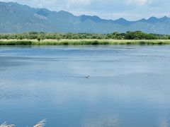 -野鸭湖国家湿地公园