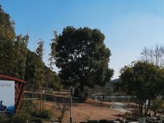 -穹窿山景区