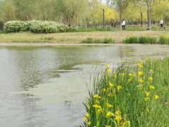 -东郊湿地公园