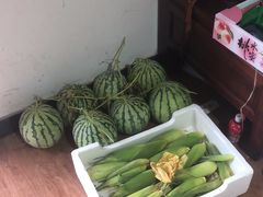 -南汇新场正宗水蜜桃采摘