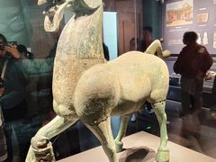 -广西壮族自治区博物馆