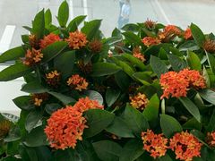 -厦门高崎国际机场-T3航站楼