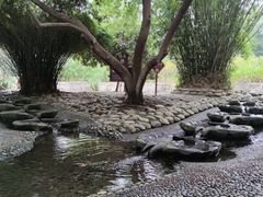 -成都市活水公园