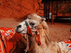 景点-天山神秘大峡谷