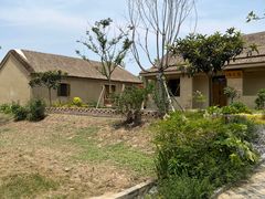 -盐城丹顶鹤湿地生态旅游区