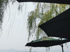 -柳莺湖上·湖景餐厅·江南菜(西湖店)