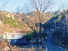 -老张烤羊(王哥庄店)