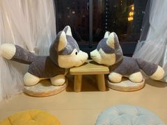 -Husky Go! 哈士奇体验馆·宠物咖啡厅狗咖