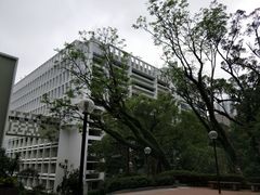 -香港大学