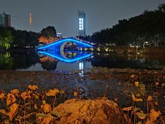 -映月湖公园