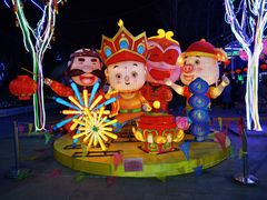 -南宫五洲植物乐园