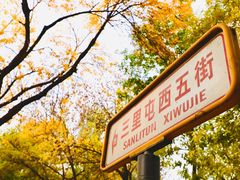 -三里屯东五街银杏大道