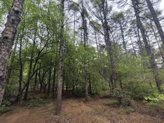 -长春市南湖公园