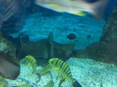 -福州罗源湾海洋世界旅游区