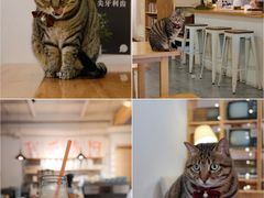 -栖咖啡(泉舜店)