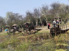 -武汉紫薇都市田园