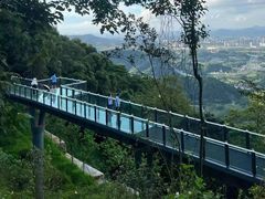 -黄埔油麻山森林公园