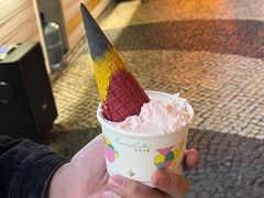 -柠檬车露(卖草地店)