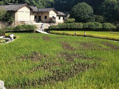 -韶山毛泽东同志故居