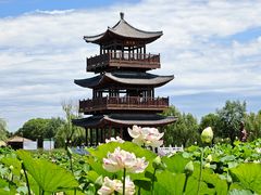 -白洋淀景区