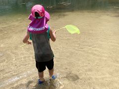 -碓臼峪自然风景区