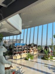 -IMON·HANSA潮玩玩偶毛绒玩具(通州万象汇店)